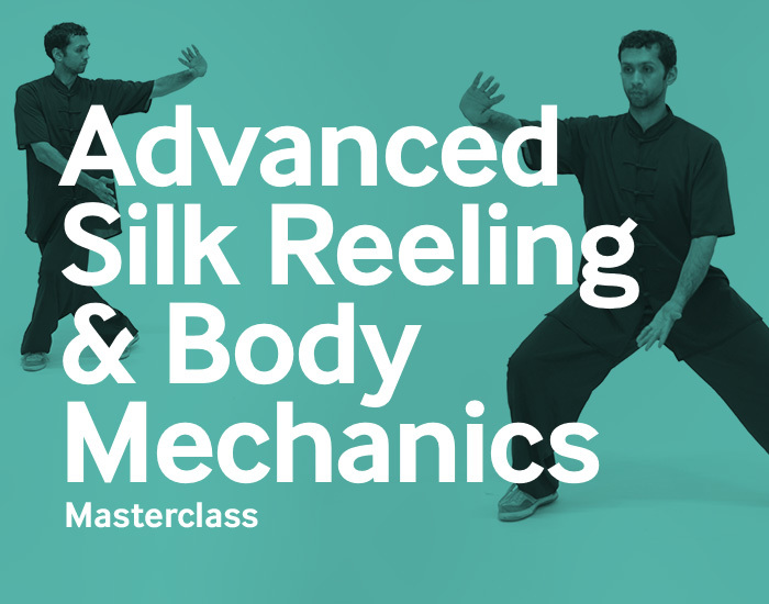 Advanced Silk Reeling & Body Mechanics
